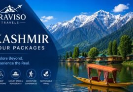 Kashmir Tour Packages 2026 Dal Lake View